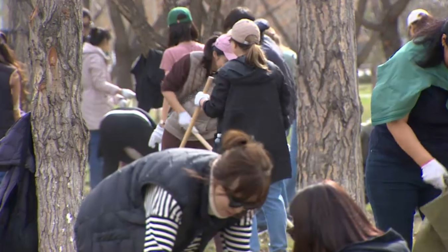 Принципы экологической культуры закрепят в новой Конституции – Бектенов