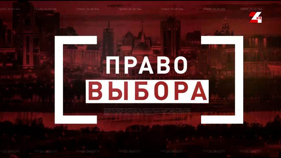 Внеочередной ХХV съезд ОСДП. Динара Садвакасова