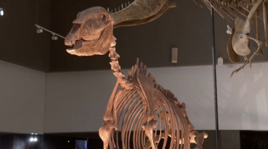 «Ночь в музее»: театрализованные экскурсии проходят в Астане