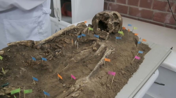Павлодарские энтомологи изучают археологические находки