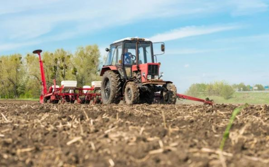 Больше 19 млн гектаров полей засеяли в Казахстане