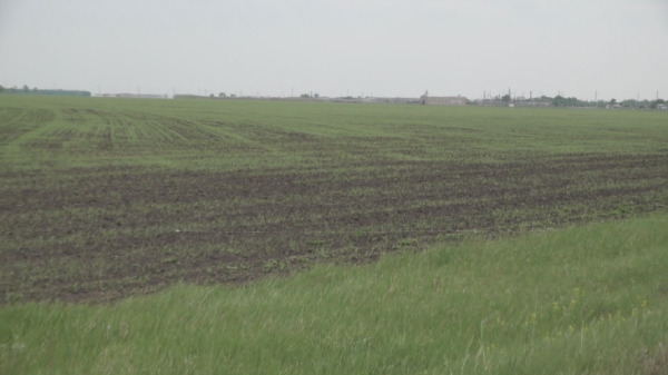 Ақтөбе облысында 160 мың гектар жер мемлекет меншігіне қайтарылады