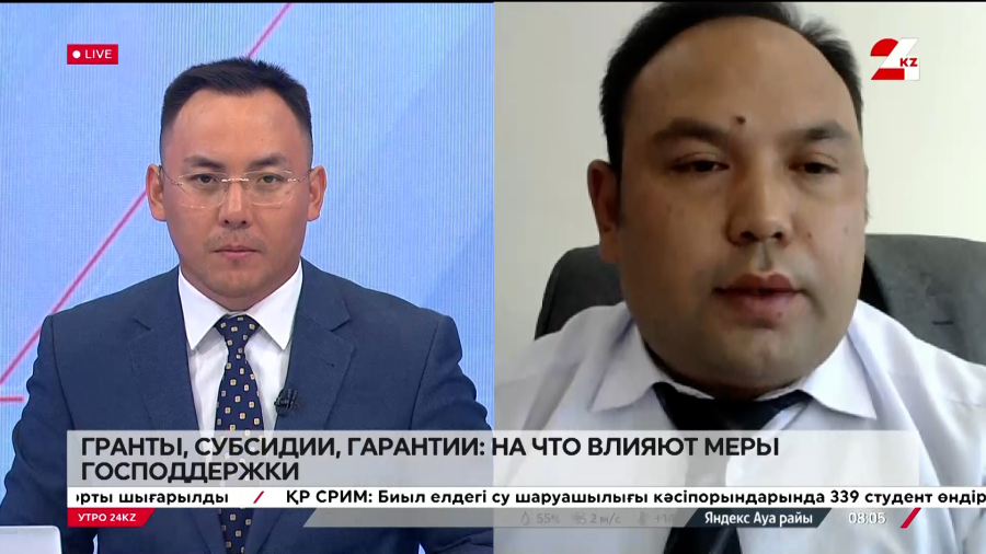 Гранты, субсидии, гарантии: на что влияют меры господдержки. Арман Абдикалыков