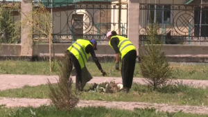 Акцию Taza Like организовали сотрудники МРЦ в Жетісу