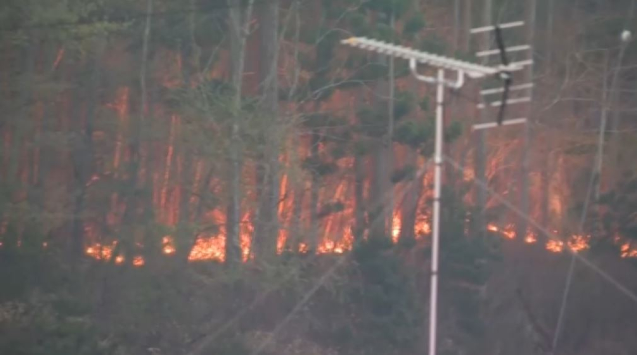 Пожары в Японии: эвакуируют тысячи людей