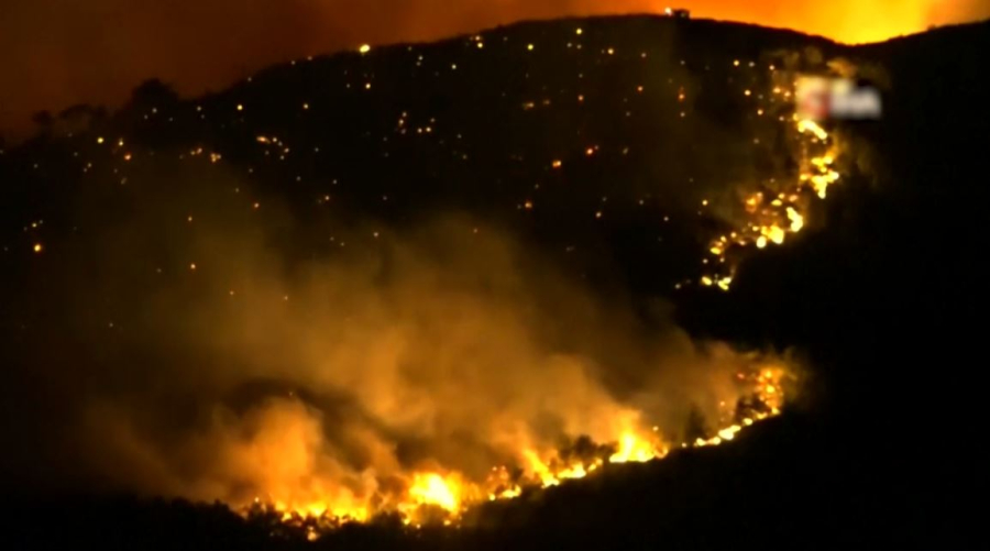 50 тысяч человек эвакуировали из-за лесных пожаров в Турции