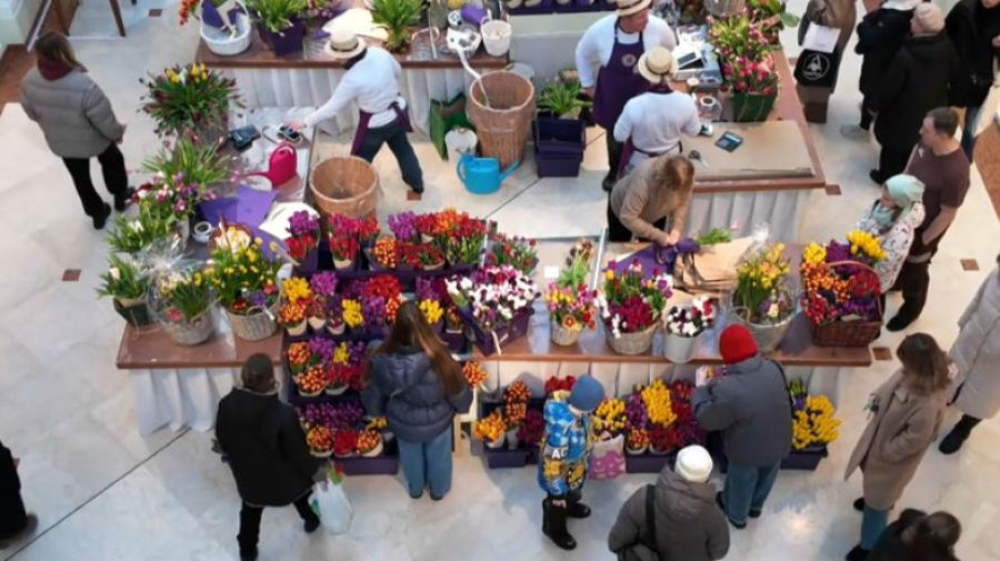 В Россию за месяц завезли 9 тысяч тонн цветов