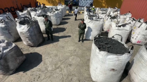 Свыше 2 тонн кокаина под видом древесного угля было изъято в морском порту Колумбии