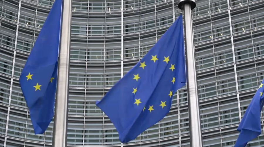 Интервью Президента: мнение экспертов ЕС