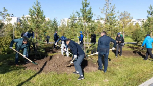 Аппарат Правительства принял участие в общегородском субботнике