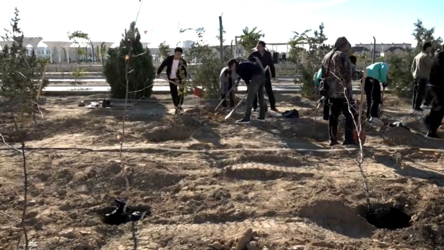 Ақтауда жастар саябаққа тал екті