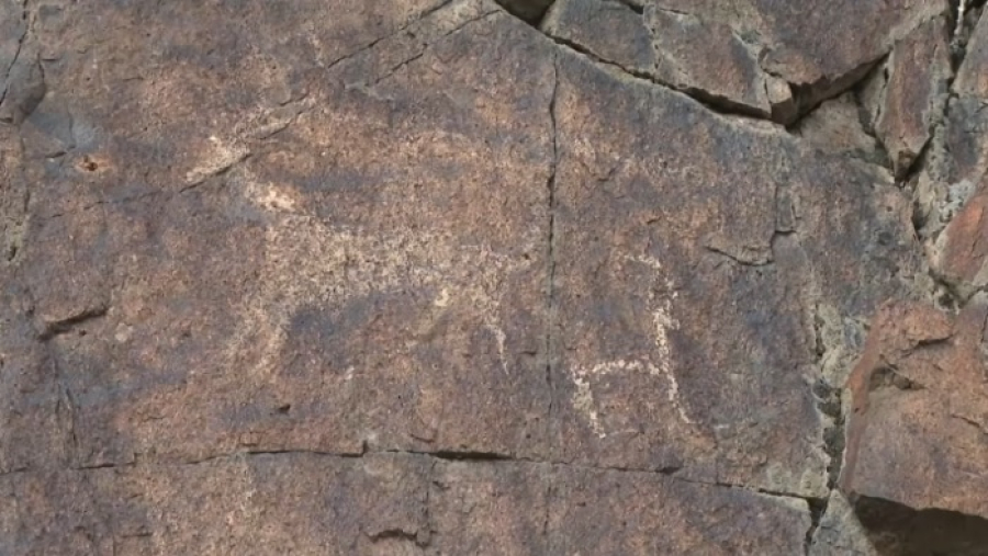 Очередное скопление петроглифов обнаружили в Жетысу