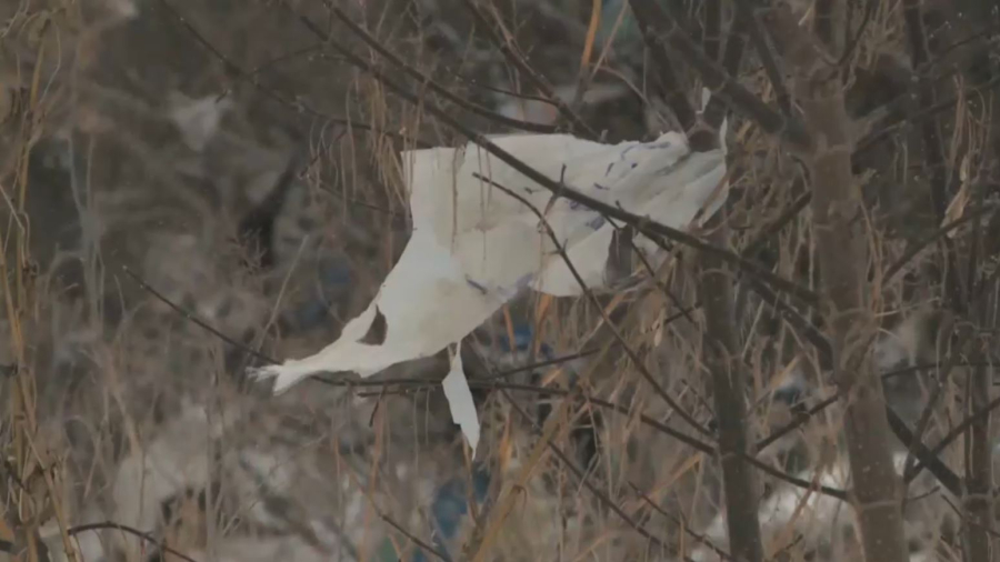 Өскемен қоқыс полигонынсыз қалуы мүмкін