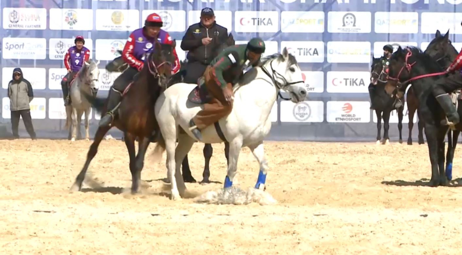 Көкпар географиялық ауқымын кеңейтіп жатыр. LIVE