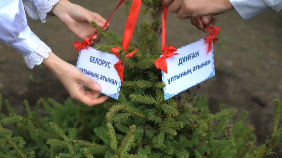 Өскеменде құтқарушылар «Достық аллеясына» көшет екті