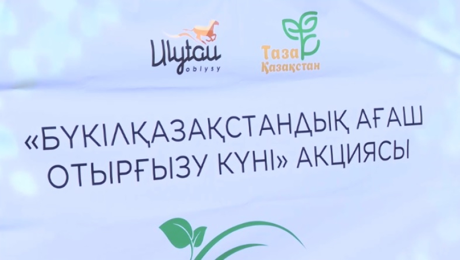«Таза Қазақстан»: в Улытау посадили 7600 деревьев
