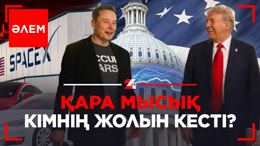 Қара мысық кімнің жолын кесті? | Әлем