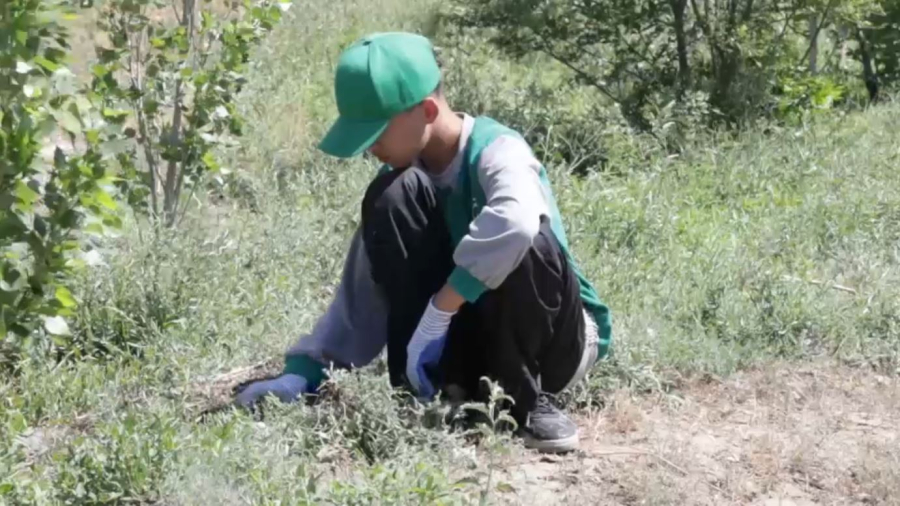 Ұлытаудағы саябақтарда тазалық акциясы өтті