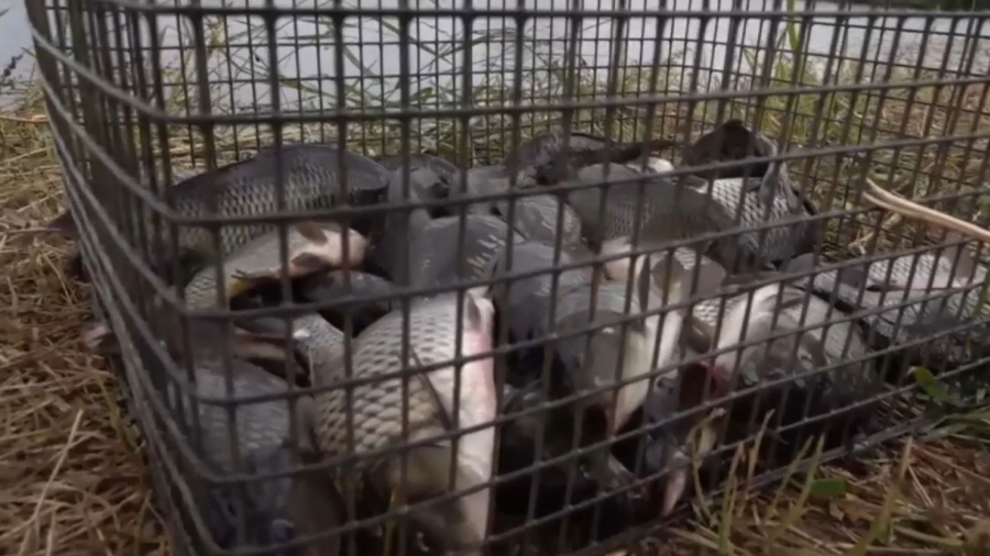 Павлодар облысында әділдік іздеген кәсіпкер мәселесі шешімін тапты