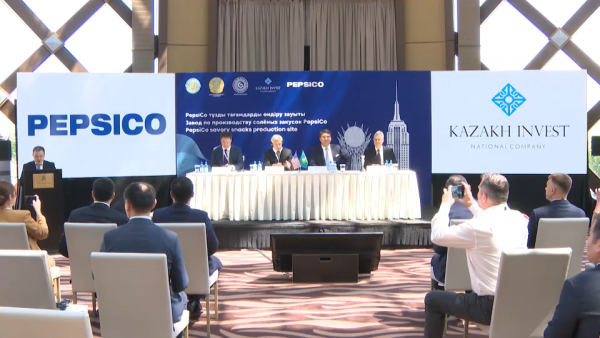 Завод по производству картофельных чипсов запустят в Алматинской области