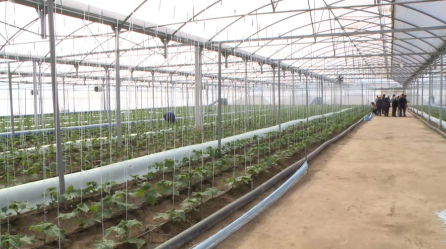 Суды заңсыз пайдалануға қарсы жұмыс тобы құрылады    