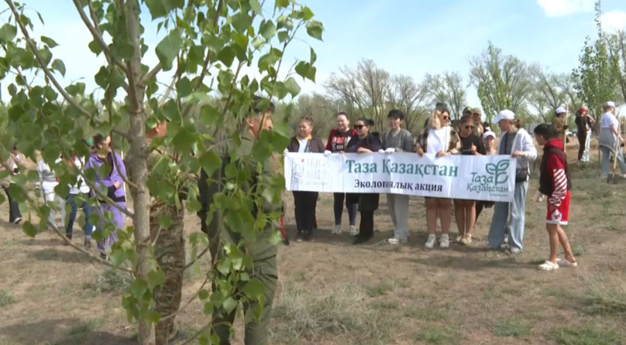 Қонаевта жаңа экосаябақ ашылды