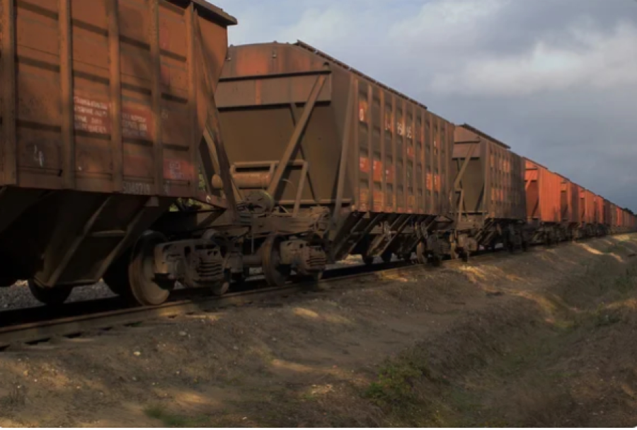 3,1 млн тонн зерна нового урожая экспортировал Казахстан