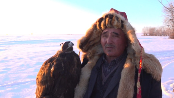 Династия беркутчи живет в Абайской области