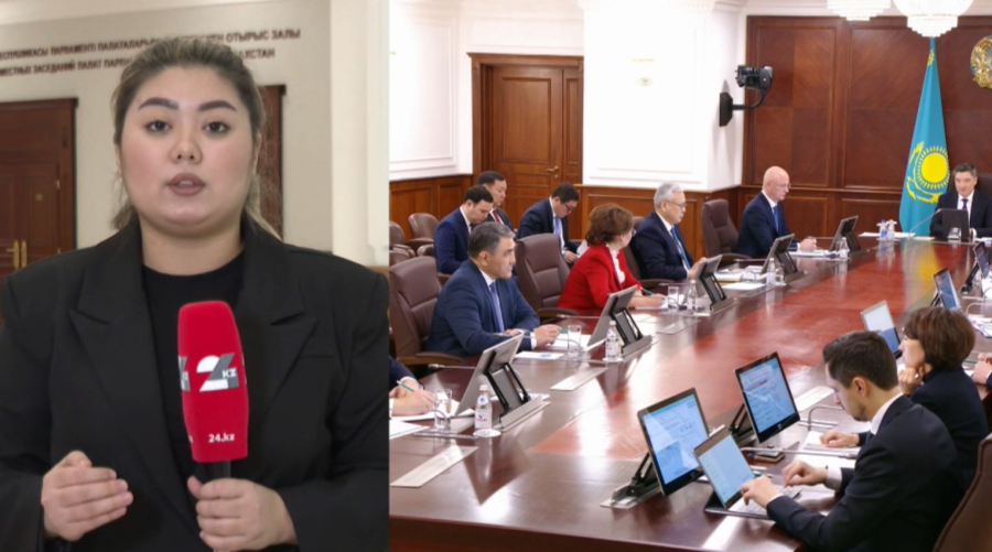 Инфляция деңгейі 11% төмендейді