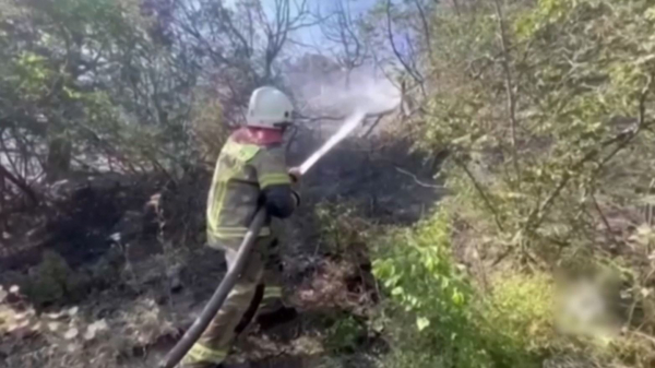 Ресейдің Краснодар өлкесінде орман өртенді