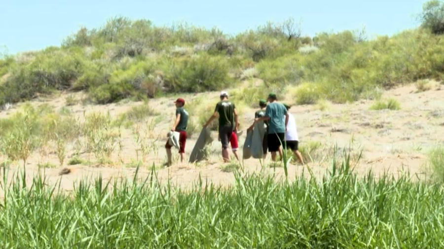 Путешественники приняли участие в экологической акции ecoBalqash