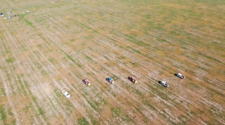 Шегірткеге қарсы күрес жұмыстары жалғасып жатыр