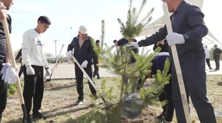 Жетісу облысында «Таза Қазақстан» акциясы аясында 8 мың көшет егілді