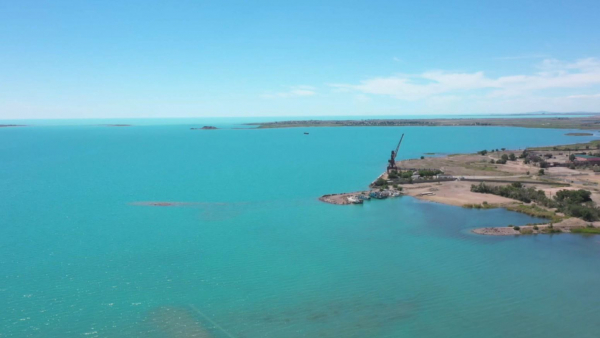 Обмеление Балхаша ведёт к деградации экосистемы озера