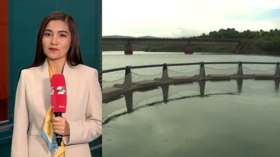 Сколько рыбоводных хозяйств насчитывается в Казахстане