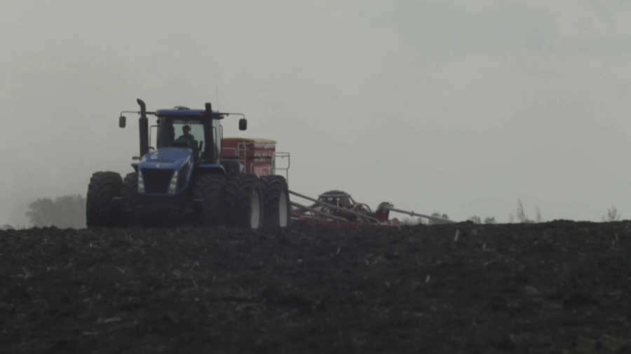 СҚО-да 2 миллион гектарға егін егілді