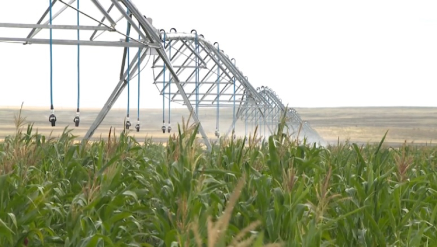 Казахстан теряет до 50% поливной воды