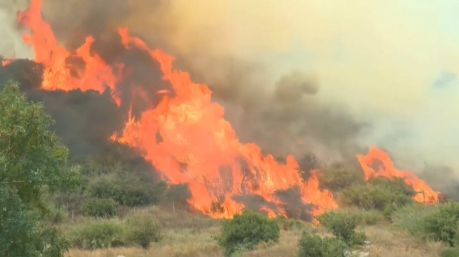 Лесные пожары в Турции: погибли 13 человек