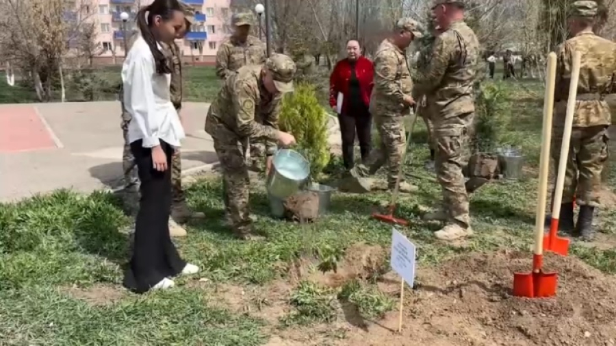 «Таза Қазақстан»: 500 деревьев высадят в Гвардейском гарнизоне