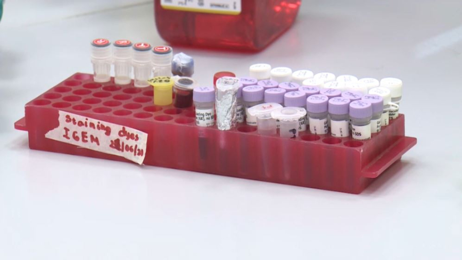 Ғылымға салынған инвестиция алты есе өсті