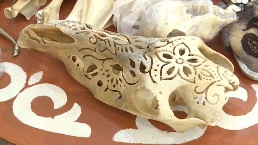 Қарағандылық дизайнер сүйекке ою-өрнек салады