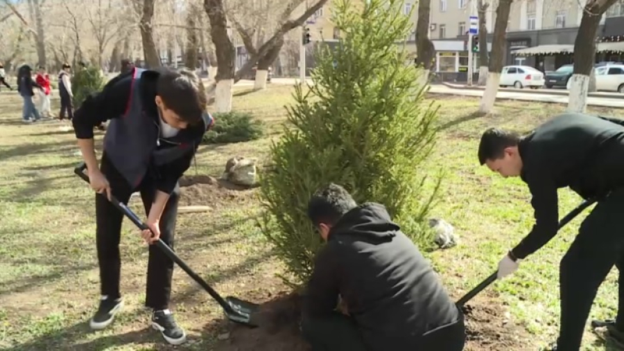 «Таза Қазақстан»: на улицах Караганды высадили 500 деревьев