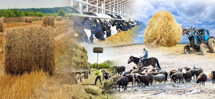 В Казахстане пройдет Национальная сельскохозяйственная перепись