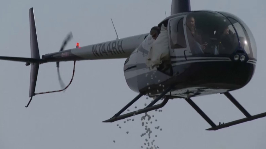 АҚШ-та балаларға тікұшақтан тәттілер тасталды