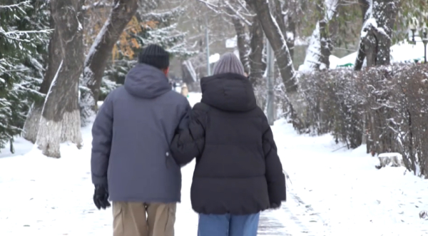 СҚО-да интернет алаяқтық азаймай тұр