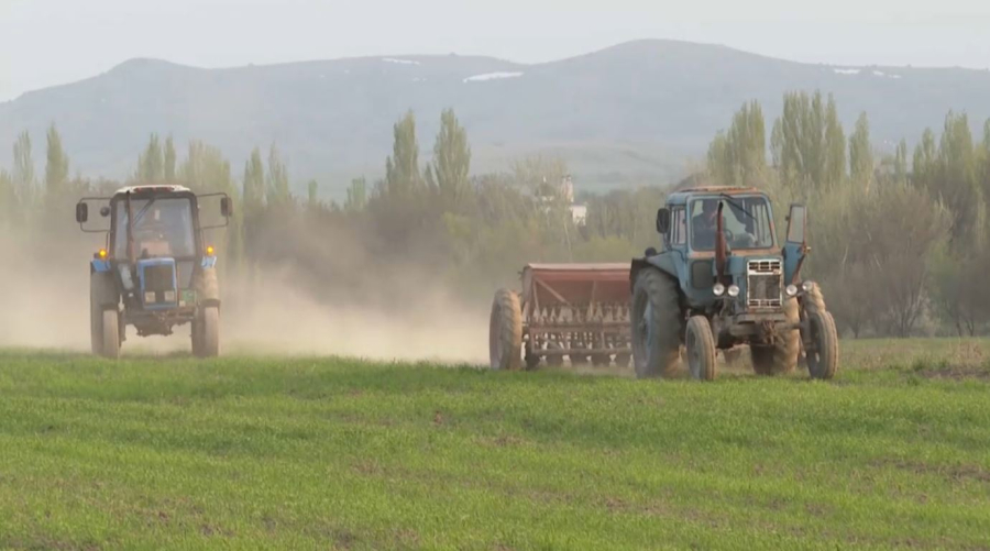 Мақсары дақылына мемлекеттен қолдау артты