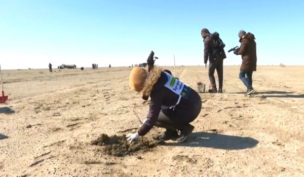 Саксаул изменит облик Арала