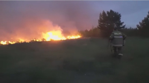 Пожары в Абайской и Павлодарской областях находятся на контроле министра по ЧС