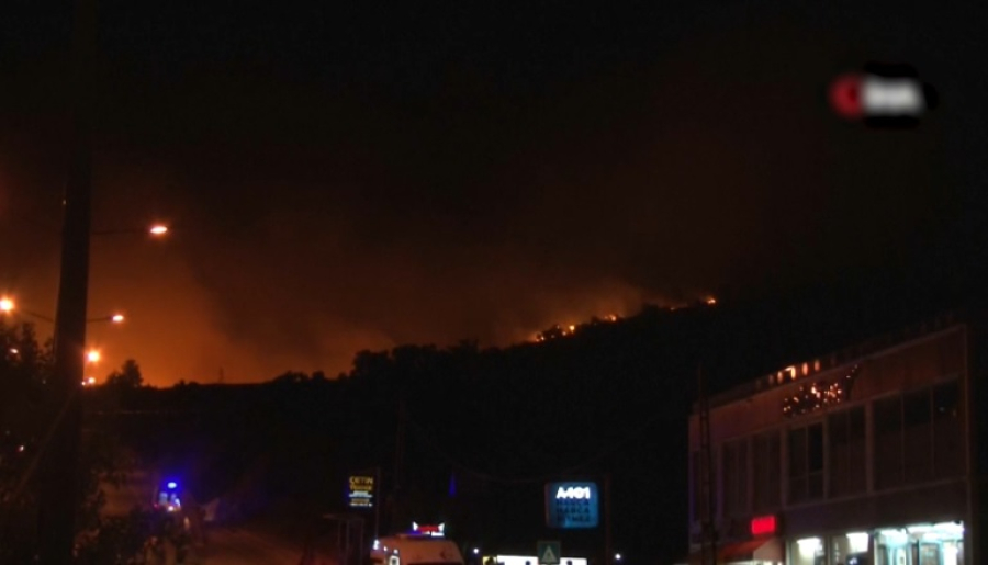 Лесные пожары в Турции: эвакуированы 1700 человек