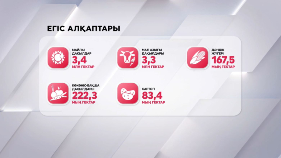 Елімізде егіс науқаны алғаш рет мерзімінде аяқталды